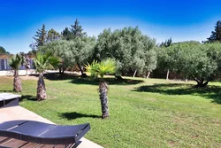 Tuin & terras