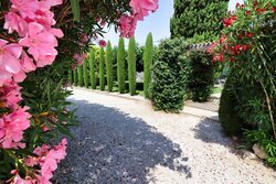 Tuin & terras