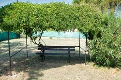 Jardin & Terrasses