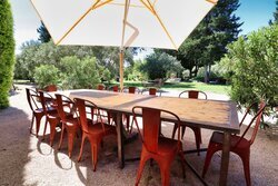 Tuin & terras
