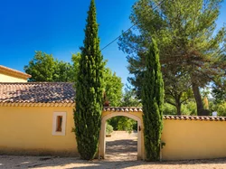 Vakantie villa