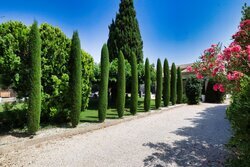 Tuin & terras