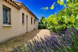 Vakantiewoning