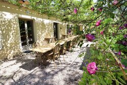 Tuin & terras