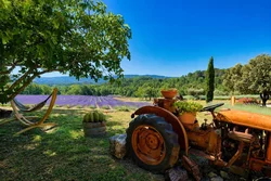 Jardin & Terrasses