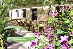 Tuin & terras