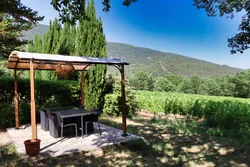 Jardin & Terrasses