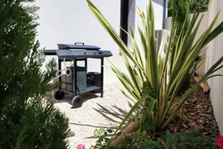 Tuin & terras