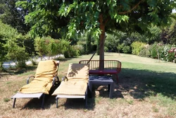 Jardin & Terrasses
