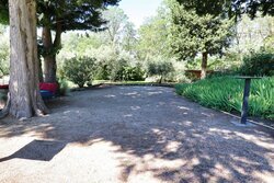 Tuin & terras