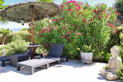 Jardin & Terrasses