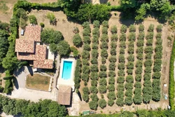 Vakantiewoning